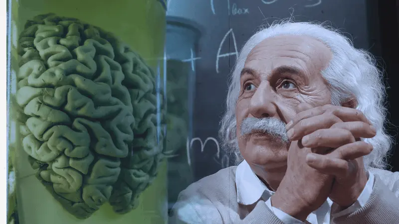 NeuroEnergizer official website